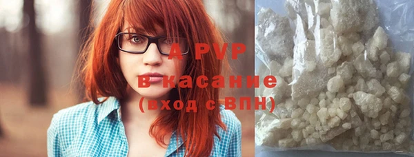 индика Абдулино