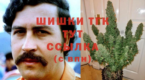 индика Абдулино