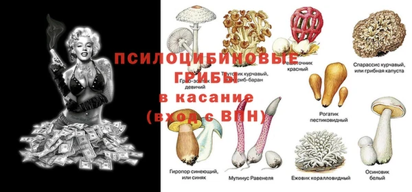 PSILOCYBIN Абинск