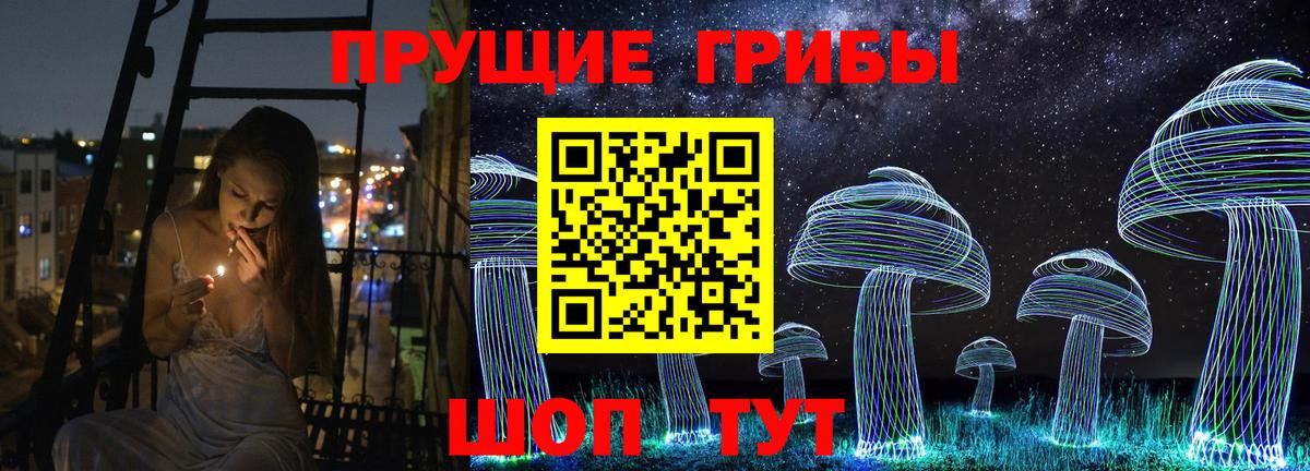 Псилоцибиновые грибы прущие грибы  Галлюциногенные грибы прущие грибы  Тихорецк  Вход с VPN 